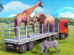 Truck driving animal transport